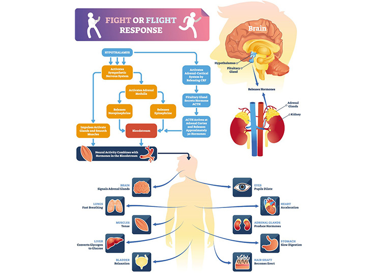 Navigating the Fear of Deportation: Coping Skills to Reduce Anxiety